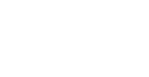 12 Bands Logo